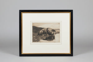 Framed and Signed Etching by Herbert Dicksee Called Head Of Lion c1891 49x42cm