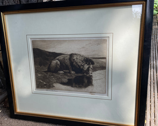 A Framed and Signed Etching by Herbert Dicksee Called Lion Drinking 1890 18x25cm