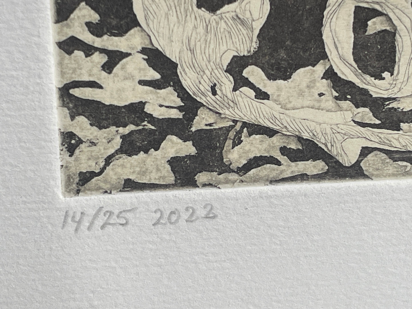 Stream – Julie Schroeder Etching 14/25, Aquatint Print 2022, Fyns Denmark