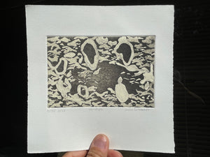 Stream – Julie Schroeder Etching 14/25, Aquatint Print 2022, Fyns Denmark