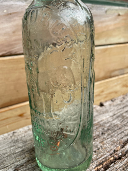 Early S. Bradbury Manchester double elephant mineral glass bottle c1878