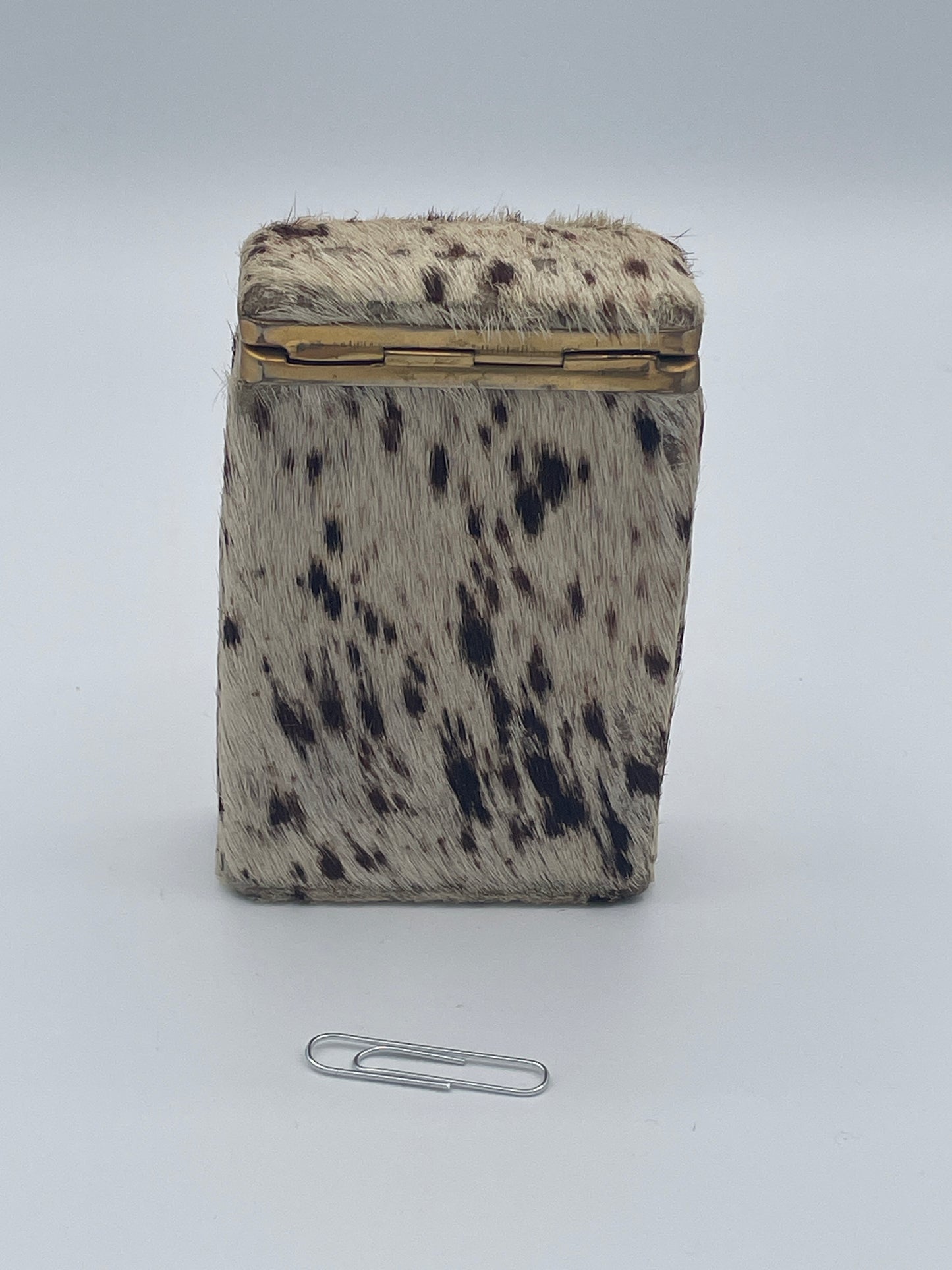 Antique Hair-on-Hide Covered Brass Mounted Card or Cigarillo Case c.1900–1930