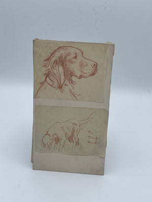 Original IRM Hutchings Dog Sketch Study Trial Artwork Mounted on Card 19cm