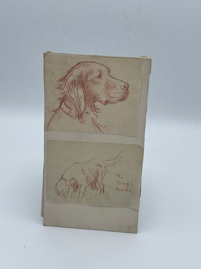 Original IRM Hutchings Dog Sketch Study Trial Artwork Mounted on Card 19cm