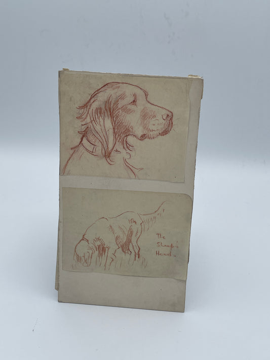 Original IRM Hutchings Dog Sketch Study Trial Artwork Mounted on Card 19cm