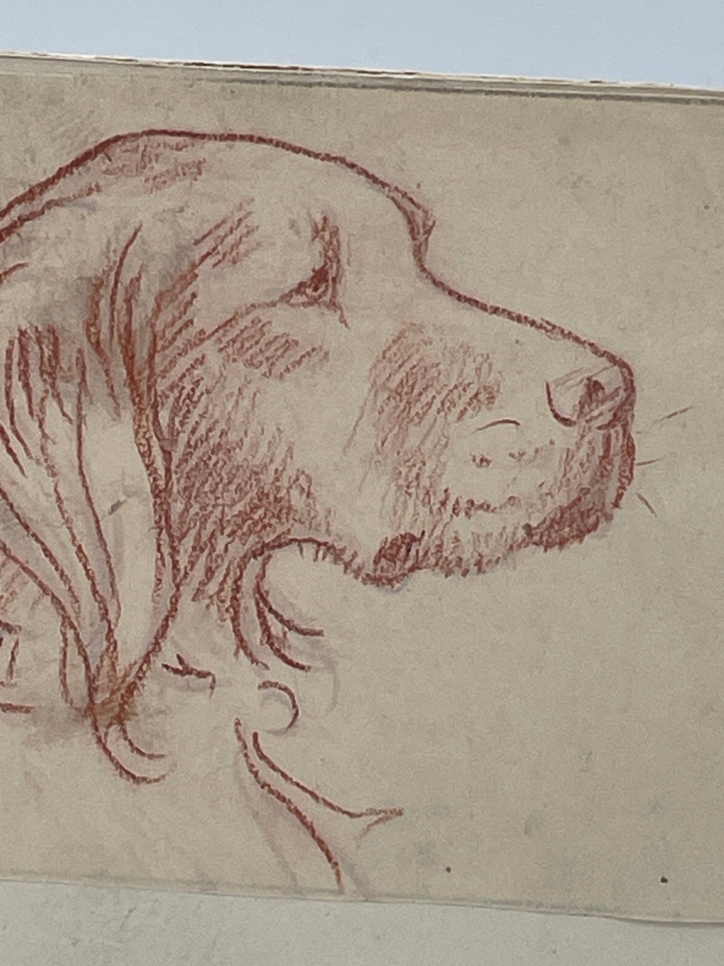 Original IRM Hutchings Dog Sketch Study Trial Artwork Mounted on Card 19cm