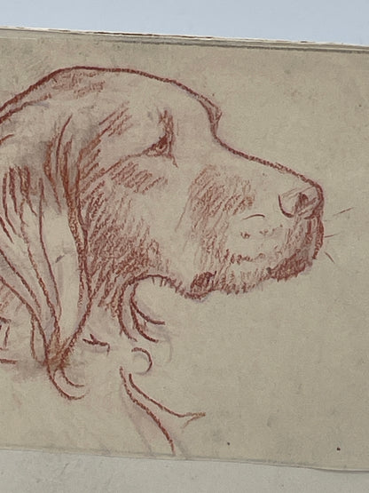 Original IRM Hutchings Dog Sketch Study Trial Artwork Mounted on Card 19cm