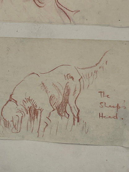 Original IRM Hutchings Dog Sketch Study Trial Artwork Mounted on Card 19cm