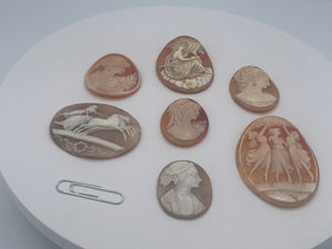 Collection of 7 Vintage Shell Cameo Plaques Classical Figures Signed One Example