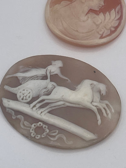 Collection of 7 Vintage Shell Cameo Plaques Classical Figures Signed One Example