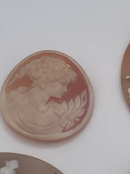 Collection of 7 Vintage Shell Cameo Plaques Classical Figures Signed One Example