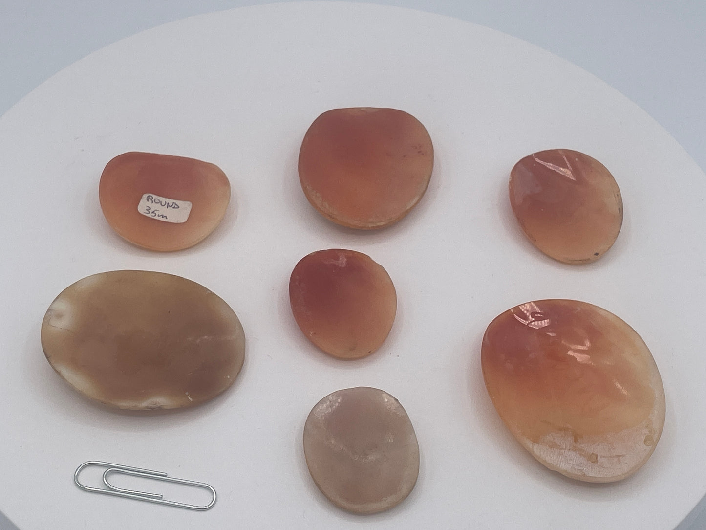 Collection of 7 Vintage Shell Cameo Plaques Classical Figures Signed One Example