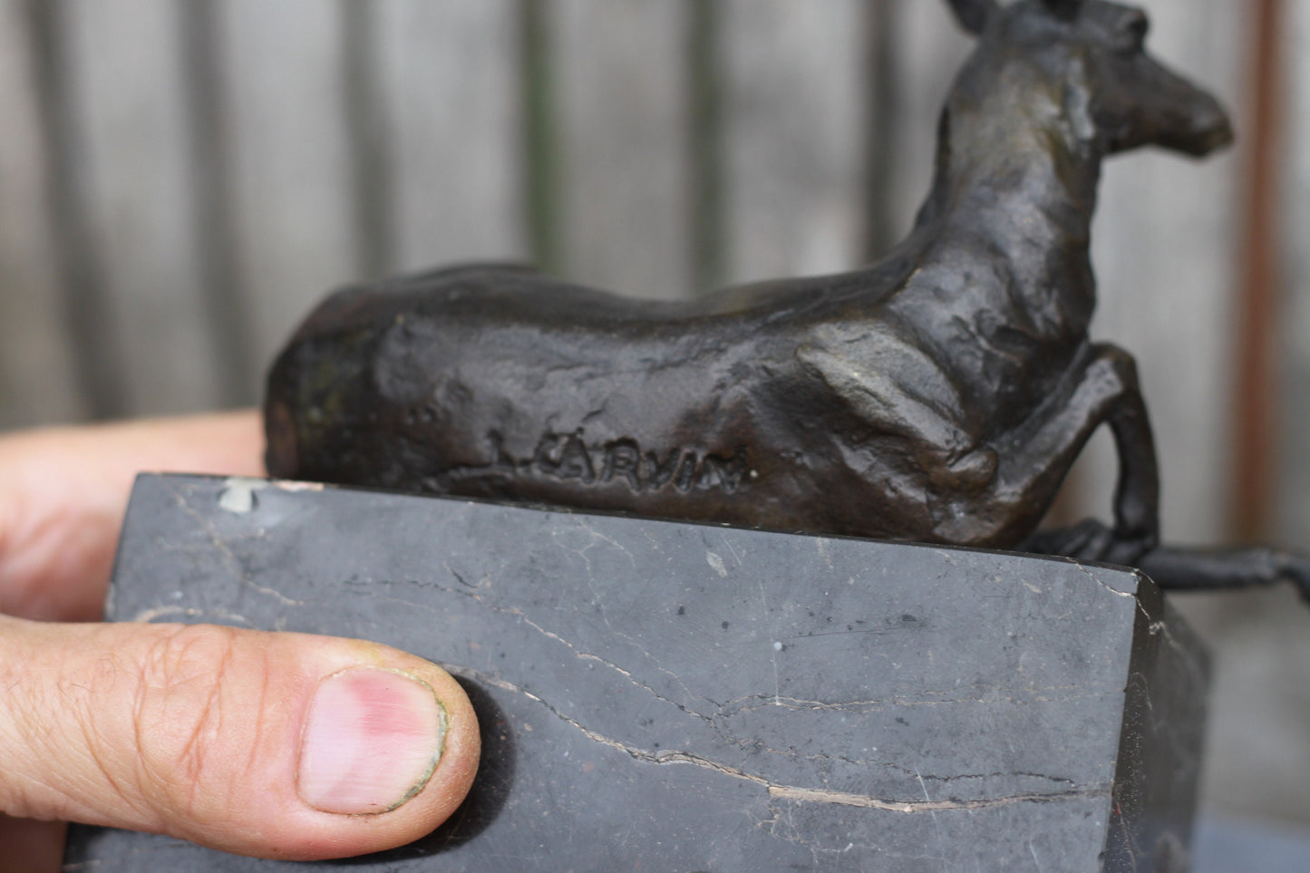 A  Patinated Bronze Study of a Recumbent Llama/Deer on a Black Marble Base Signed  L. Carvin, , 14cm in Length 1.98kg