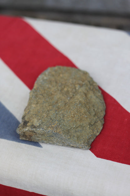 A Polished Ammonite Fossil, 10cm Wide