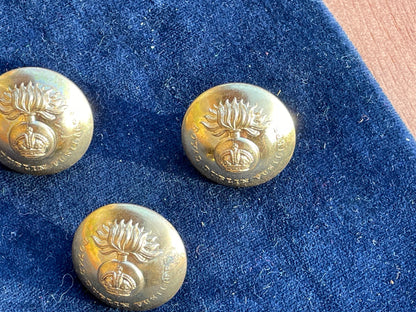 Three Royal Dublin Fusiliers Buttons by Gaunt of London 26mm Diameter c1915