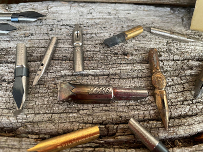 A Vintage Script Pens Box Full of Various Nibs - Script, Left Hand, Shellfish, Lino Cutter, Decro, Shakespeare Nibs etc