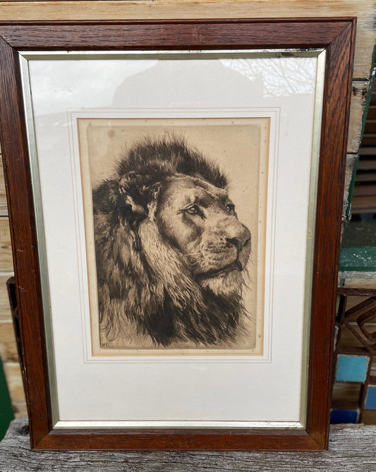 A Framed and Signed Etching by Herbert Dicksee Called Head Of Lion 29x21cm c1891