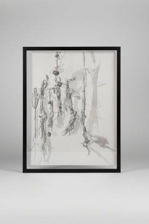 An original signed unframed ink wash drawing by John Wiltshire (b. 1969)   59cm x 41cm