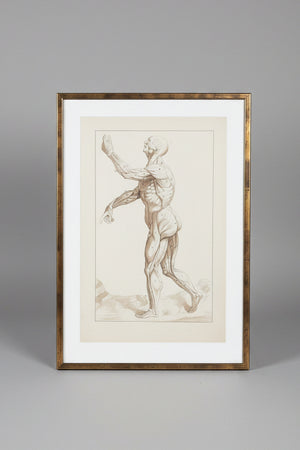 An original ink and wash on paper human musculature framed print, after Andreas Vesalius plate size 46 x 29cm