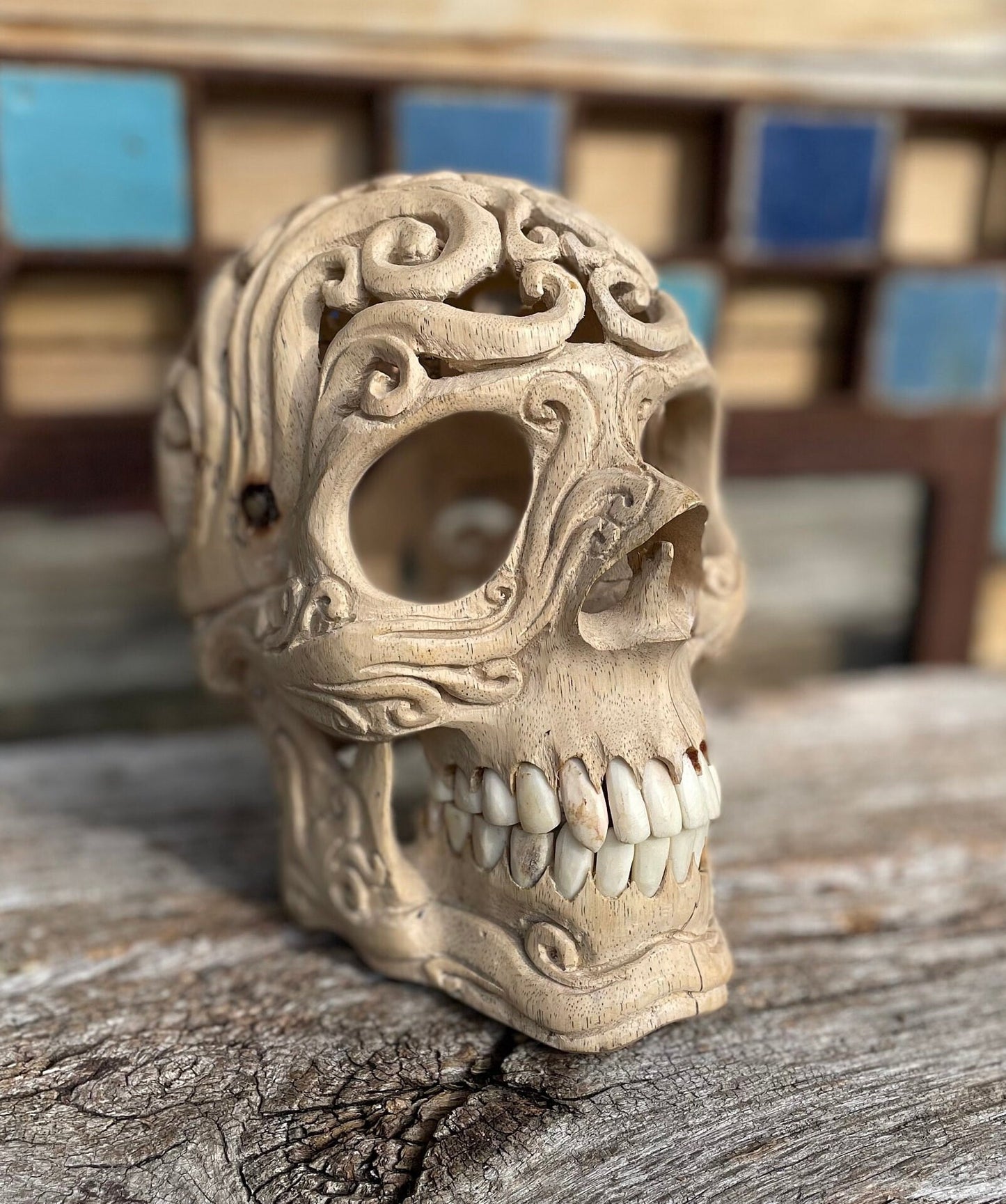 An intricately hand carved Folk Art Skull  sculpture from Tamarind wood and buffalo jaw 17cm tall