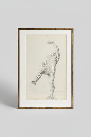 An original pencil on paper human musculature framed print, after Andreas Vesalius plate size 46 x 29cm
