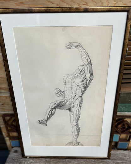 An original pencil on paper human musculature framed print, after Andreas Vesalius plate size 46 x 29cm