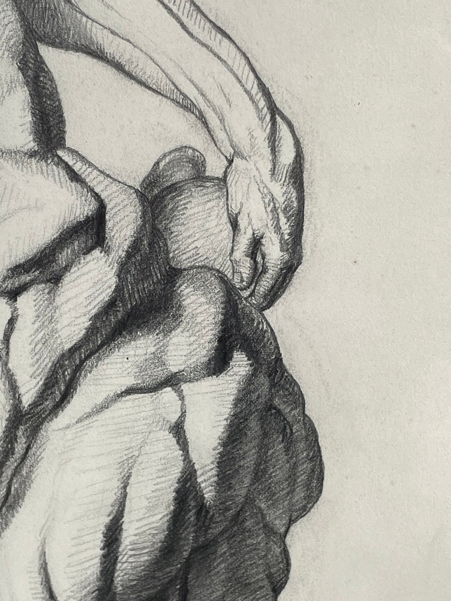 An original pencil on paper human musculature framed print, after Andreas Vesalius plate size 46 x 29cm