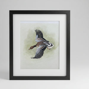 An original Herbert Ahier watercolour on paper of a duck in flight 19x19cm