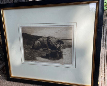 Framed and Signed Etching by Herbert Dicksee Called Head Of Lion c1891 49x42cm