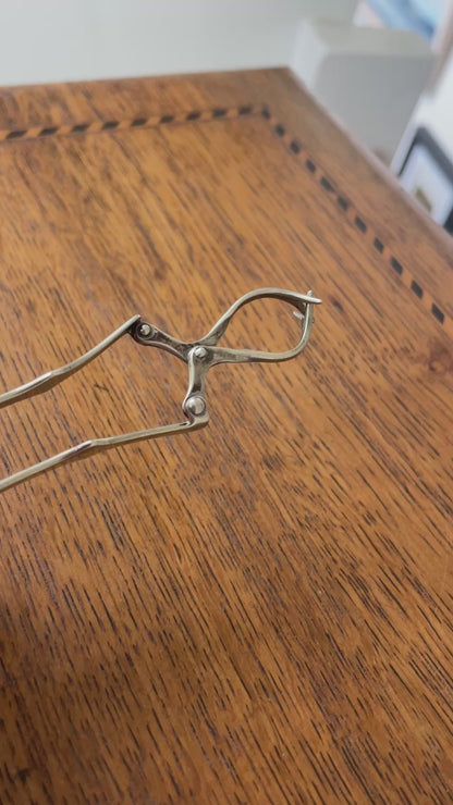 Antique British Silver-Plated Mechanical Sugar Nips – N T & S Art Deco Lion Design Sugar Breakers, Registered Design 702274 (c.1920s)