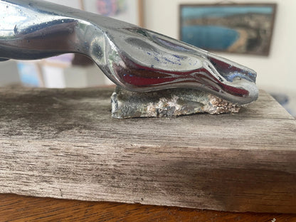 Vintage Jaguar Leaper Mascot – Chrome Bonnet Ornament with Registered Design Stamp (c.1950s–60s)
